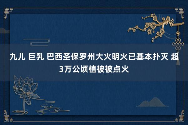 九儿 巨乳 巴西圣保罗州大火明火已基本扑灭 超3万公顷植被被点火