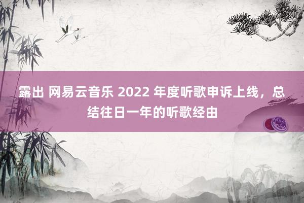 露出 网易云音乐 2022 年度听歌申诉上线，总结往日一年的听歌经由