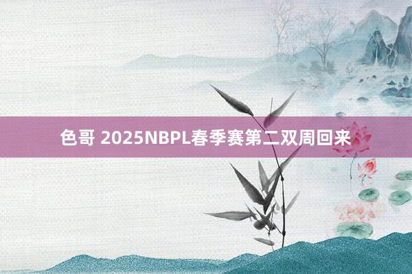 色哥 2025NBPL春季赛第二双周回来