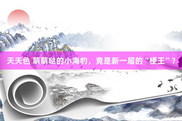 天天色 萌萌哒的小海豹，竟是新一届的“梗王”？