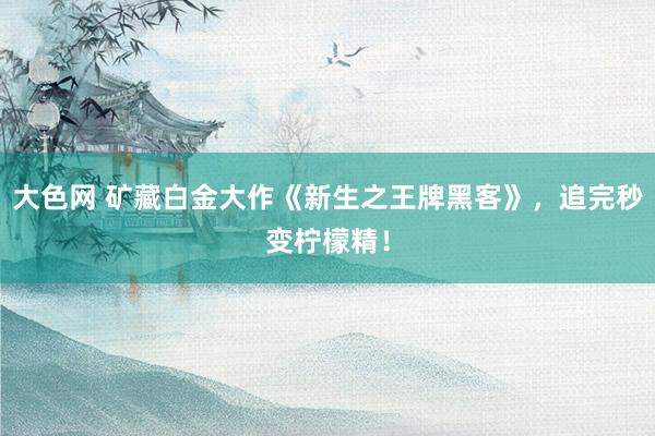大色网 矿藏白金大作《新生之王牌黑客》，追完秒变柠檬精！