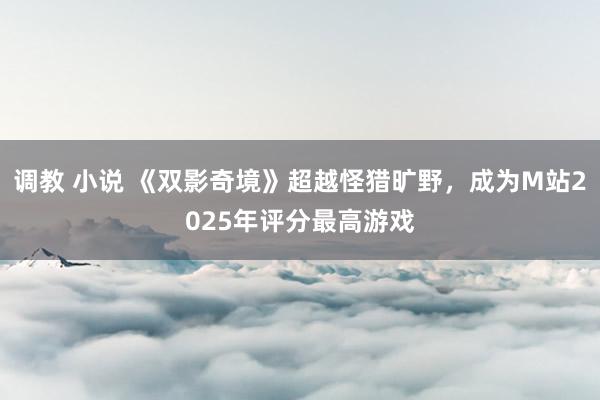 调教 小说 《双影奇境》超越怪猎旷野，成为M站2025年评分最高游戏