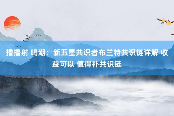 撸撸射 鸣潮：新五星共识者布兰特共识链详解 收益可以 值得补共识链