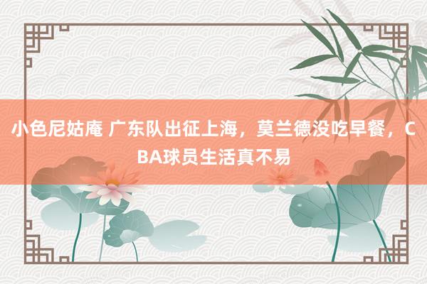 小色尼姑庵 广东队出征上海，莫兰德没吃早餐，CBA球员生活真不易