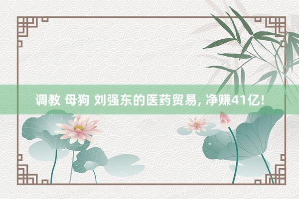 调教 母狗 刘强东的医药贸易, 净赚41亿!