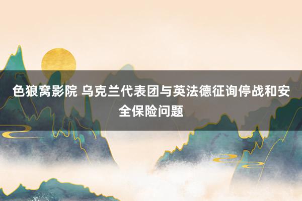 色狼窝影院 乌克兰代表团与英法德征询停战和安全保险问题