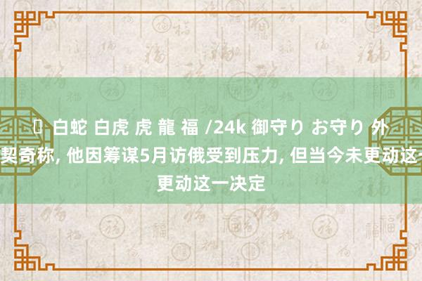 ✨白蛇 白虎 虎 龍 福 /24k 御守り お守り 外媒: 武契奇称, 他因筹谋5月访俄受到压力, 但当今未更动这一决定