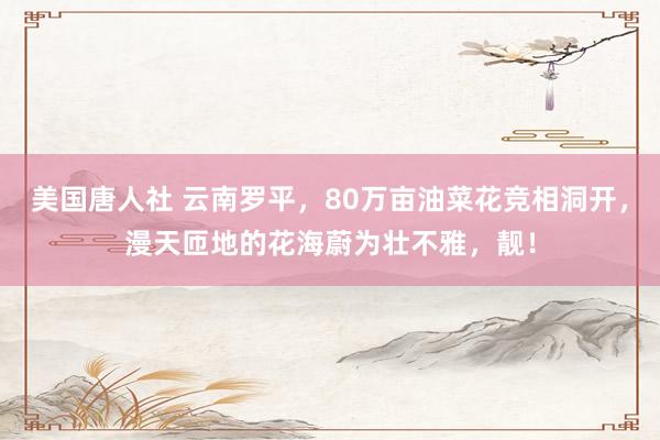 美国唐人社 云南罗平，80万亩油菜花竞相洞开，漫天匝地的花海蔚为壮不雅，靓！