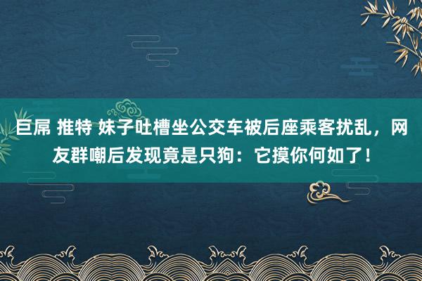 巨屌 推特 妹子吐槽坐公交车被后座乘客扰乱，网友群嘲后发现竟是只狗：它摸你何如了！