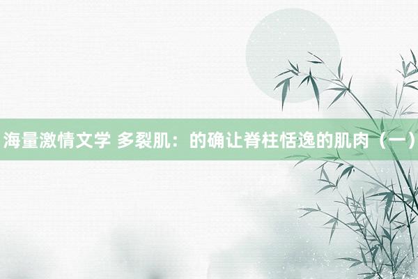 海量激情文学 多裂肌：的确让脊柱恬逸的肌肉（一）