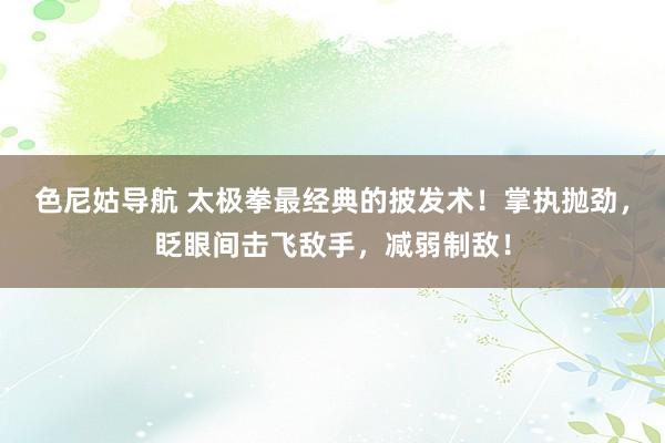 色尼姑导航 太极拳最经典的披发术！掌执抛劲，眨眼间击飞敌手，减弱制敌！