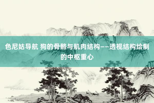 色尼姑导航 狗的骨骼与肌肉结构——透视结构绘制的中枢重心