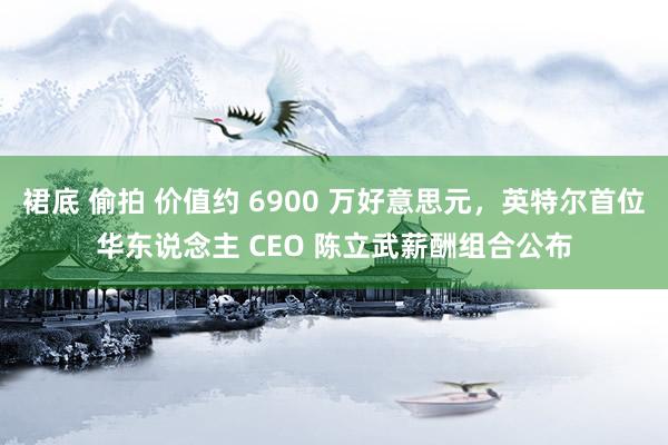 裙底 偷拍 价值约 6900 万好意思元，英特尔首位华东说念主 CEO 陈立武薪酬组合公布