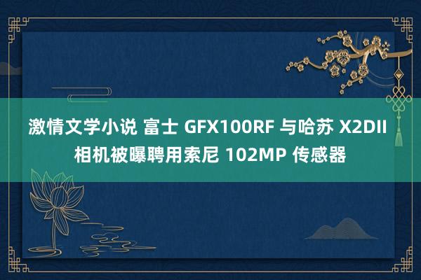 激情文学小说 富士 GFX100RF 与哈苏 X2DII 相机被曝聘用索尼 102MP 传感器