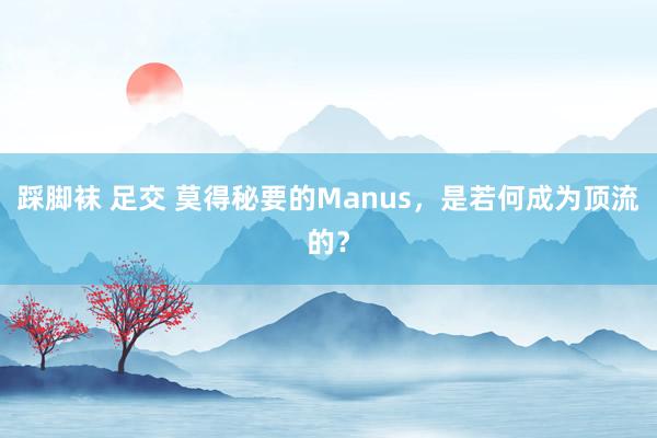 踩脚袜 足交 莫得秘要的Manus，是若何成为顶流的？