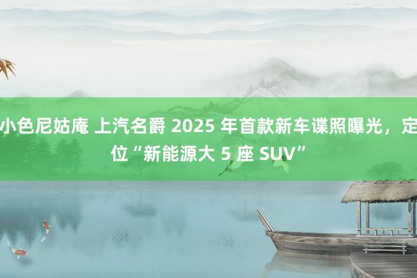 小色尼姑庵 上汽名爵 2025 年首款新车谍照曝光，定位“新能源大 5 座 SUV”